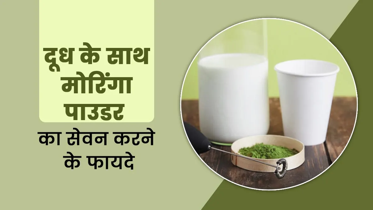 दूध के साथ मोरिंगा पाउडर का सेवन करने से मिलते हैं ये 4 फायदे, डाइट में जरूर करें शामिल