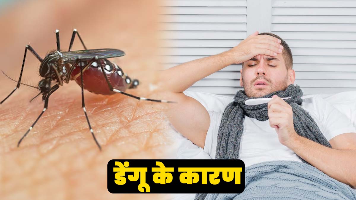 डेंगू होने के पीछे हो सकते हैं ये कारण, डॉक्टर से जानें कैसे फैलता है यह बुखार