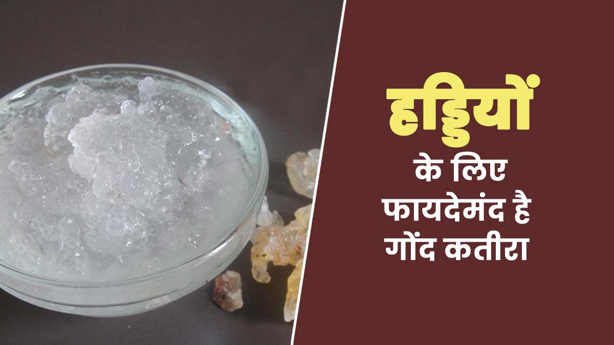 हड्डियों के लिए बेहद फायदेमंद है गोंद कतीरा, एक्सपर्ट से जानें फायदे