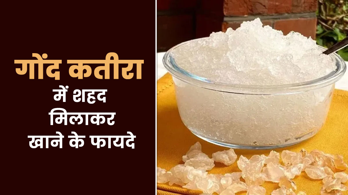 गोंद कतीरा में शहद मिलाकर खाने के फायदे, जानें एक्सपर्ट से