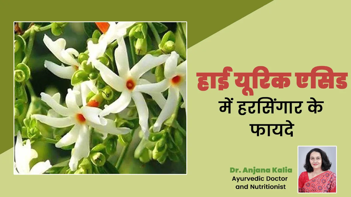 हाई यूरिक एसिड में हरसिंगार के फायदे, जानें आयुर्वेदाचार्य से