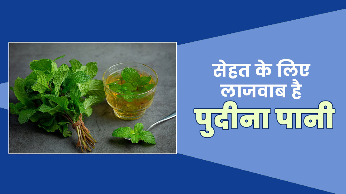 गर्मि‍यों में पुदीने का पानी पीने से सेहत को म‍िलते हैं ये 5 फायदे, द‍िनभर बरकरार रहता है हाइड्रेशन