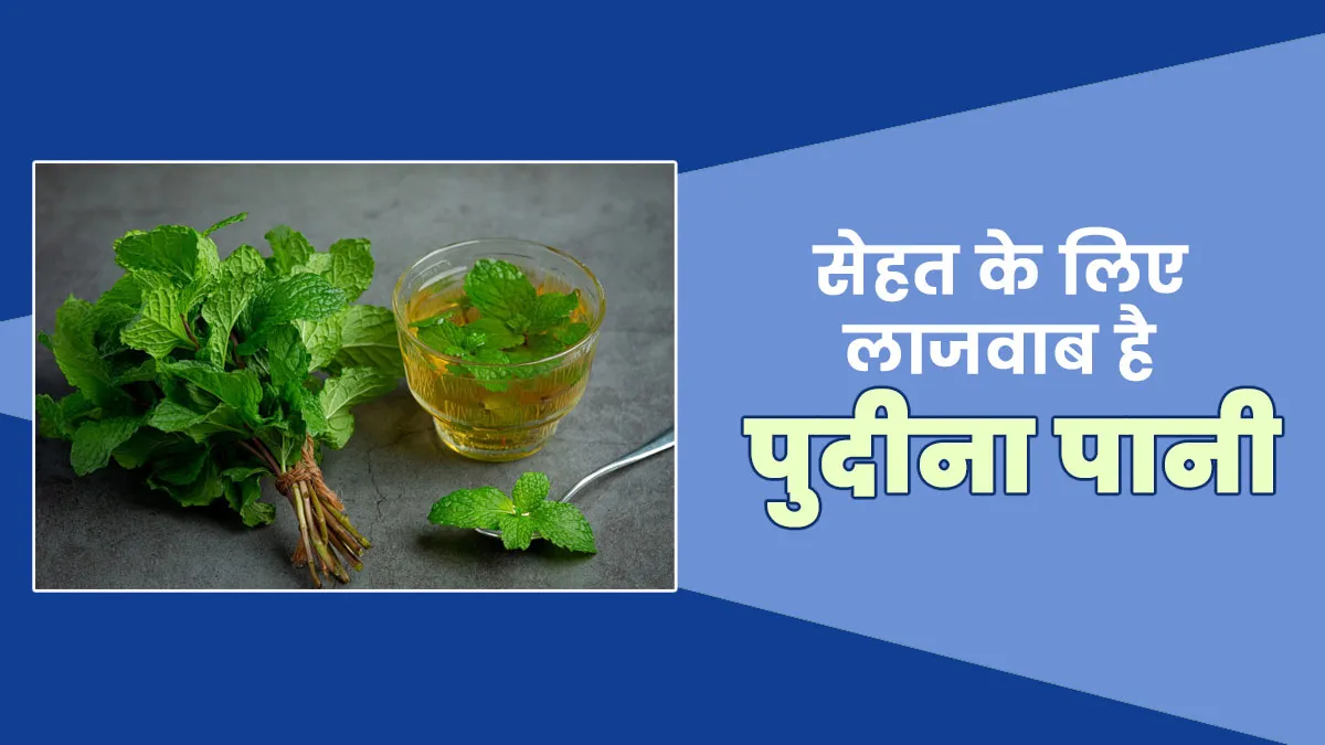 गर्मि‍यों में पुदीने का पानी पीने से सेहत को म‍िलते हैं ये 5 फायदे, द‍िनभर बरकरार रहता है हाइड्रेशन