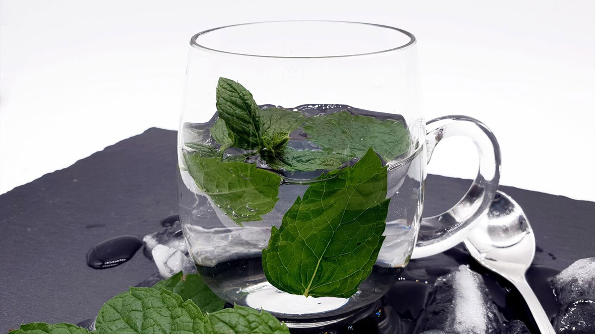 pudina-pani-ke-fayde