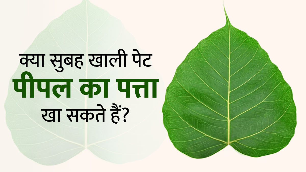सुबह खाली पेट पीपल का पत्ता खाने से क्या होता है? जानें डॉक्टर से