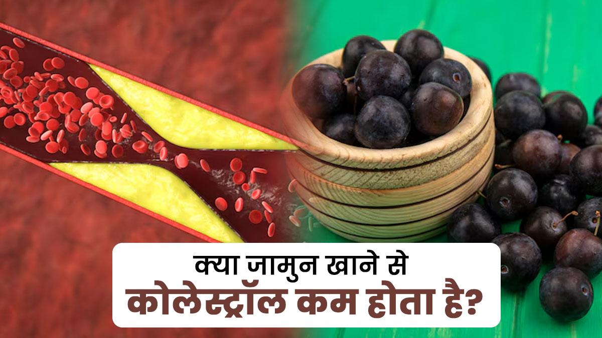 क्या जामुन खाने से कोलेस्ट्रॉल कम होता है? एक्सपर्ट से जानें