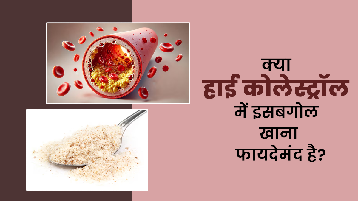 क्या हाई कोलेस्ट्रॉल में इसबगोल का सेवन करना फायदेमंद है? जानें एक्सपर्ट से