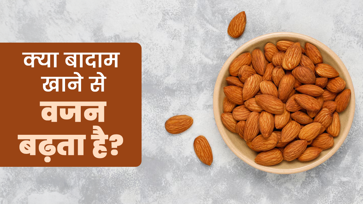 क्या बादाम खाने से वजन बढ़ता है? एक्सपर्ट से जानें जवाब