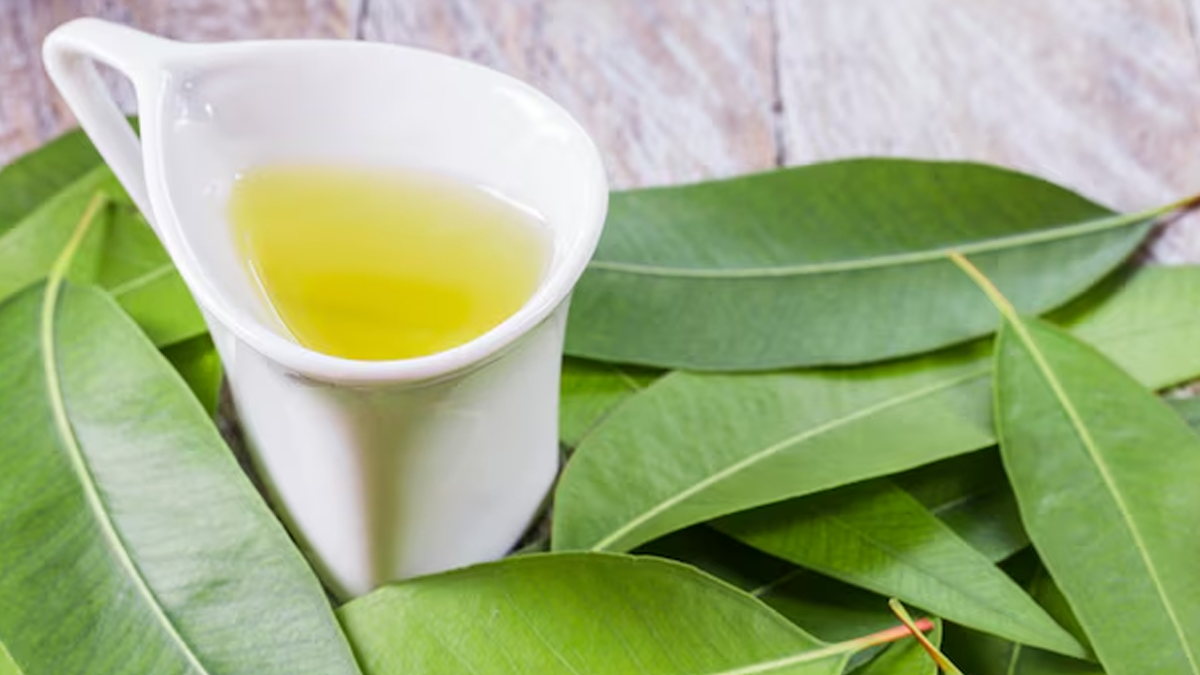 Can eucalyptus oil be used for body massage