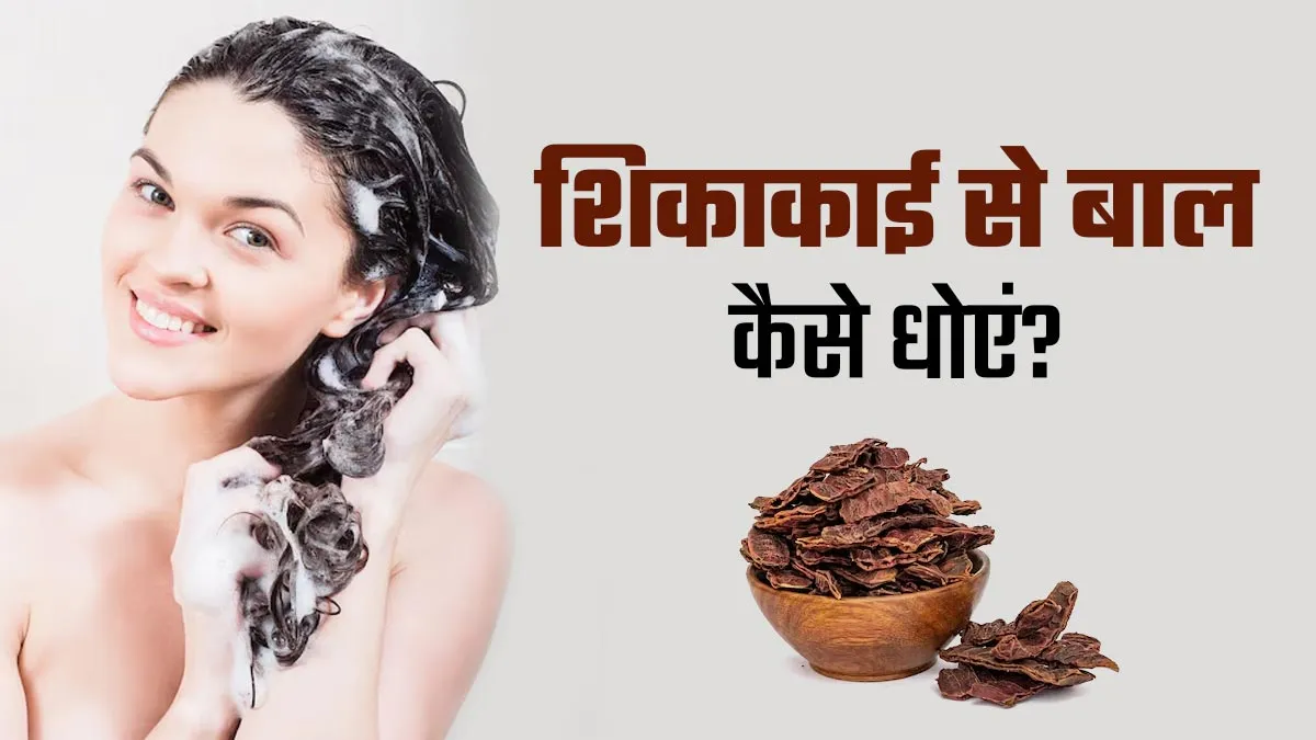 शिकाकाई से बाल कैसे धोएं? आयुर्वेदाचार्य से जानें
