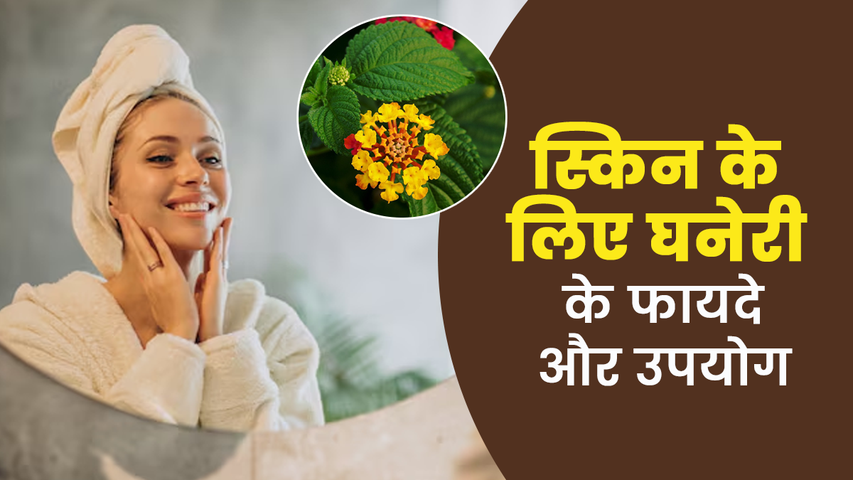 स्किन के लिए लाभकारी है घनेरी, जानें उपयोग के तरीके और फायदे