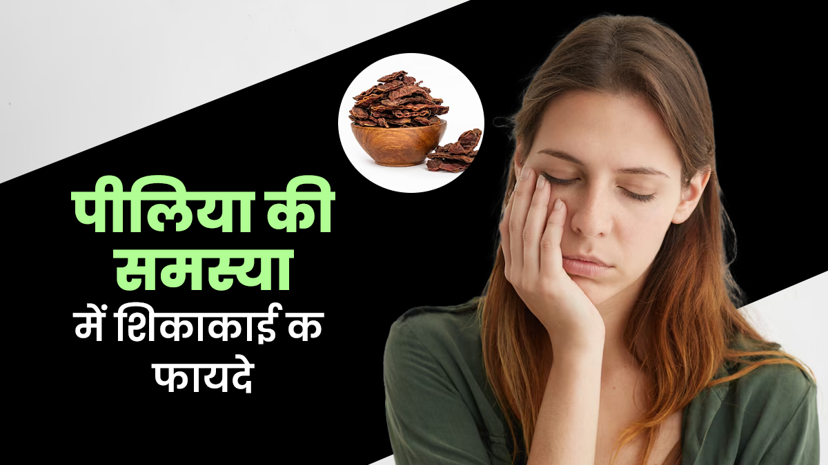 पीलिया की समस्या में फायदेमंद है शिकाकाई का काढ़ा, जानें सेवन का तरीका