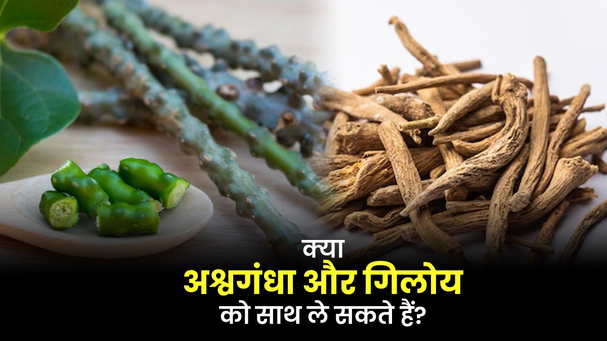 क्या अश्वगंधा और गिलोय को एक साथ ले सकते हैं? एक्सपर्ट से जानें