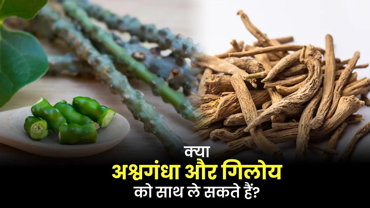 क्या अश्वगंधा और गिलोय को एक साथ ले सकते हैं? एक्सपर्ट से जानें