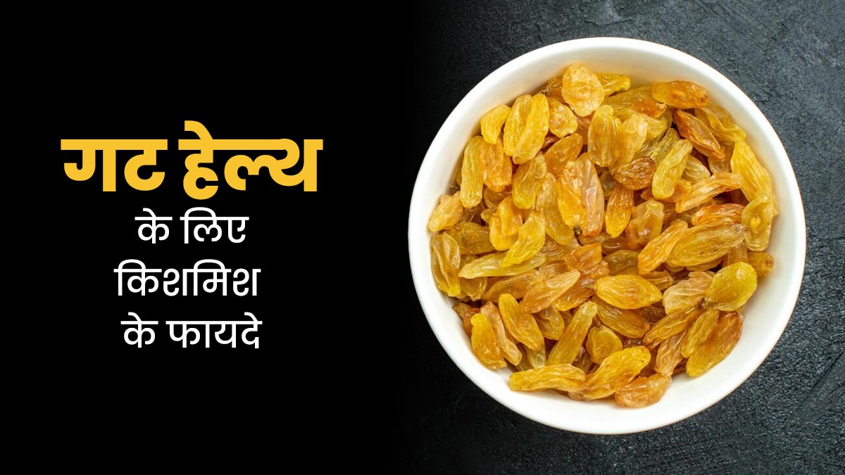 रोज किशमिश खाने से गट हेल्थ को मिलते हैं ये 5 फायदे, जानें इनके बारे में