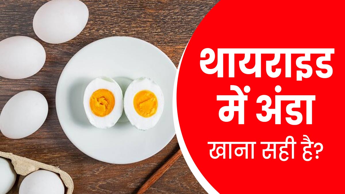 क्या थायराइड में अंडा खाना सही है? जानें एक्‍सपर्ट से