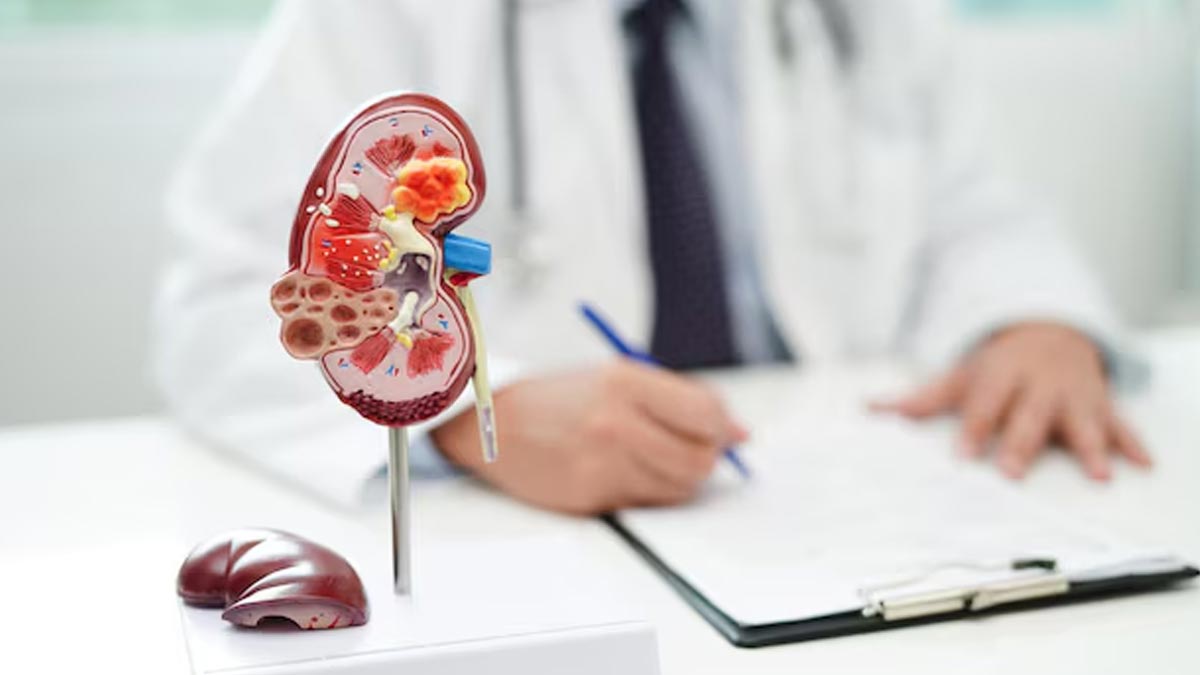 Can kidney patient eat mango in Can kidney patient eat mango in