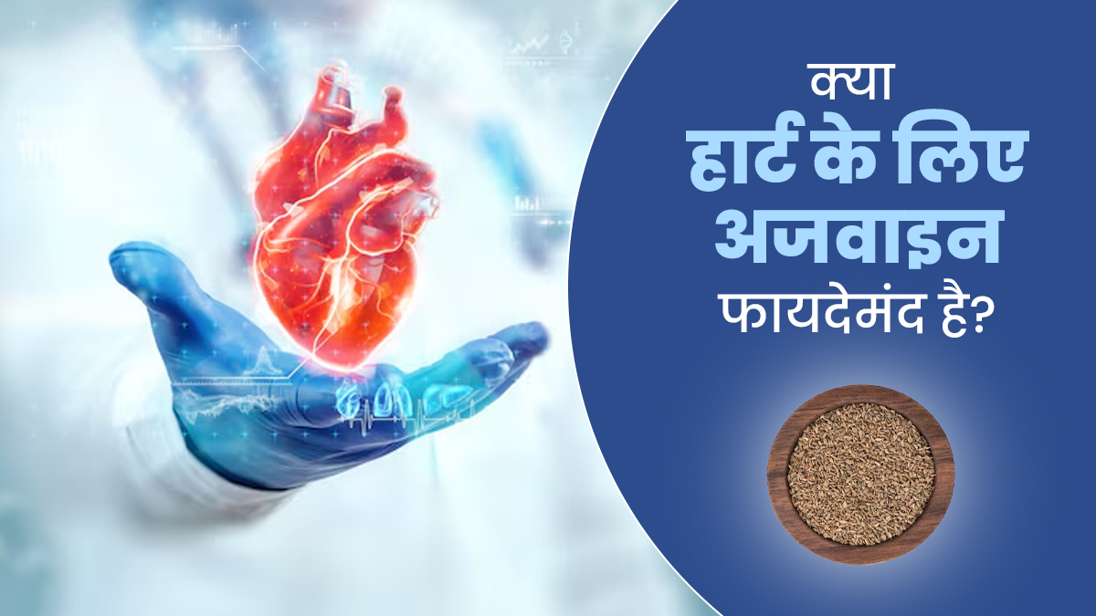 क्या हार्ट की बीमारी में अजवाइन खाना फायदेमंद होता है? जानें एक्सपर्ट से