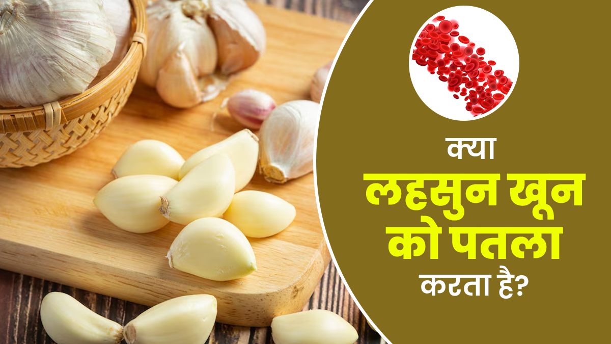 क्या लहसुन खून को पतला करता है? एक्सपर्ट से जानें