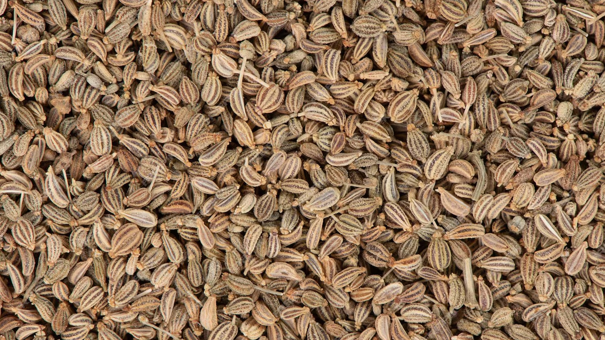 health benefits eating honey with roasted ajwain in hindi 01