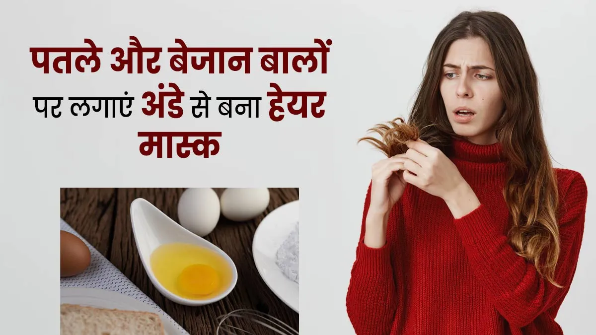 पतले और बेजान बालों पर लगाएं अंडे से बने ये हेयर मास्क, जल्द दिखने लगेगा असर