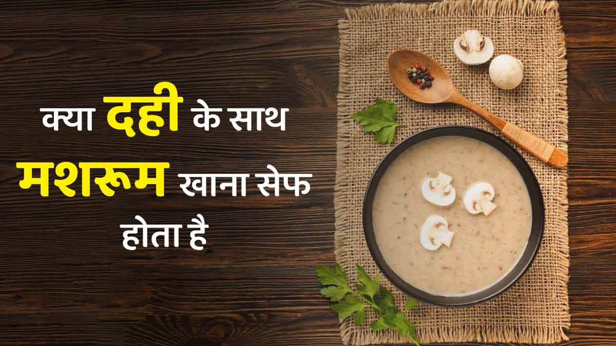 क्या दही के साथ मशरूम खाना सेफ होता है? एक्सपर्ट से जानें इसके फायदे-नुकसान
