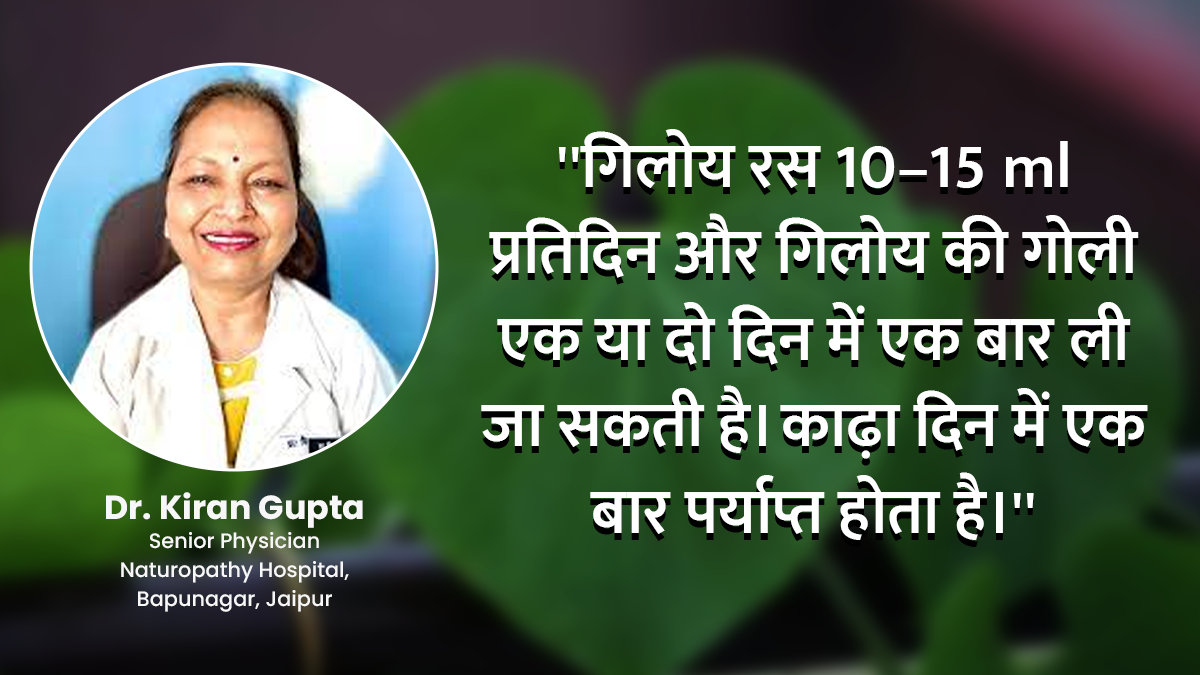 giloy benefits side effects and uses in hindi image