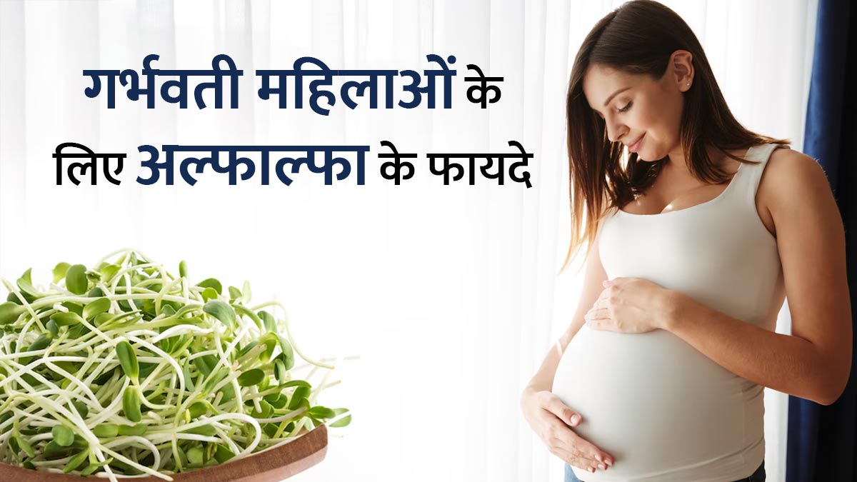 गर्भवती और स्तनपान कराने वाली महिलाओं को डाइट में शामिल करना चाहिए अल्फाल्फा, जानें इसके फायदे