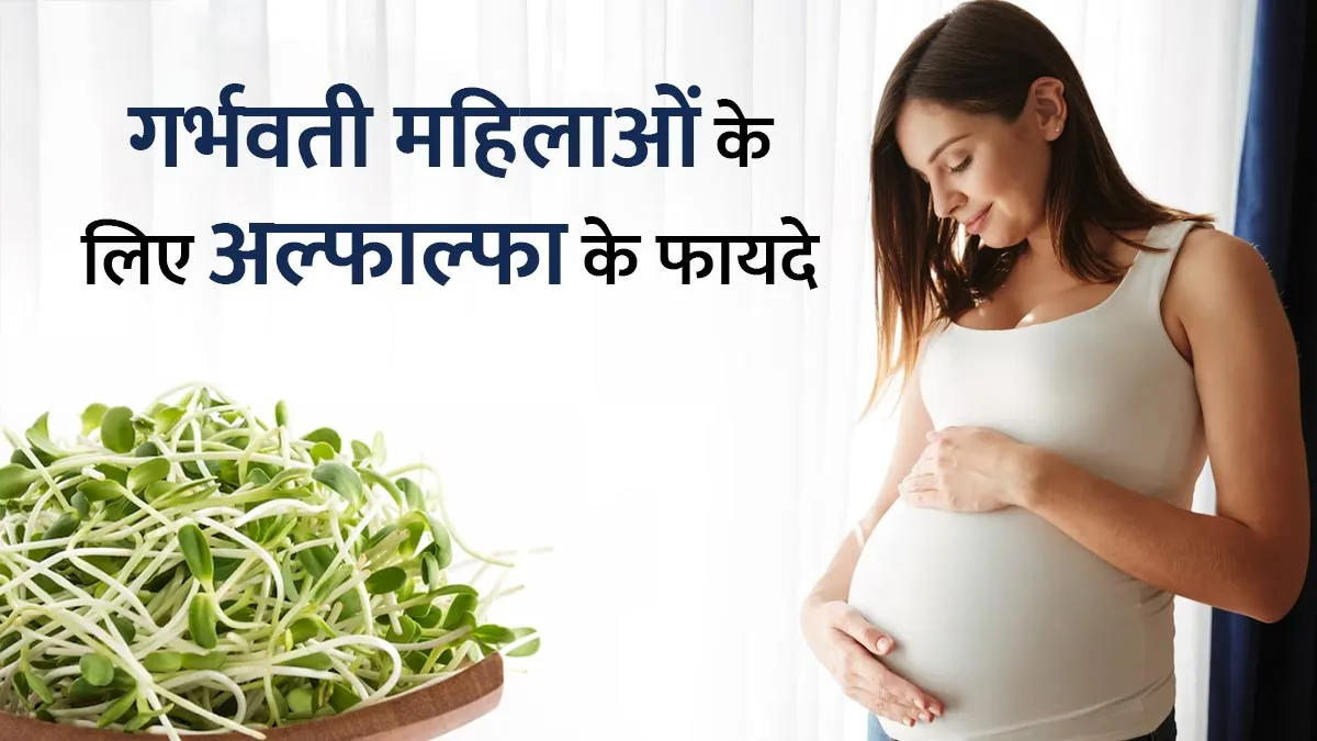 गर्भवती और स्तनपान कराने वाली महिलाओं को डाइट में शामिल करना चाहिए अल्फाल्फा, जानें इसके फायदे