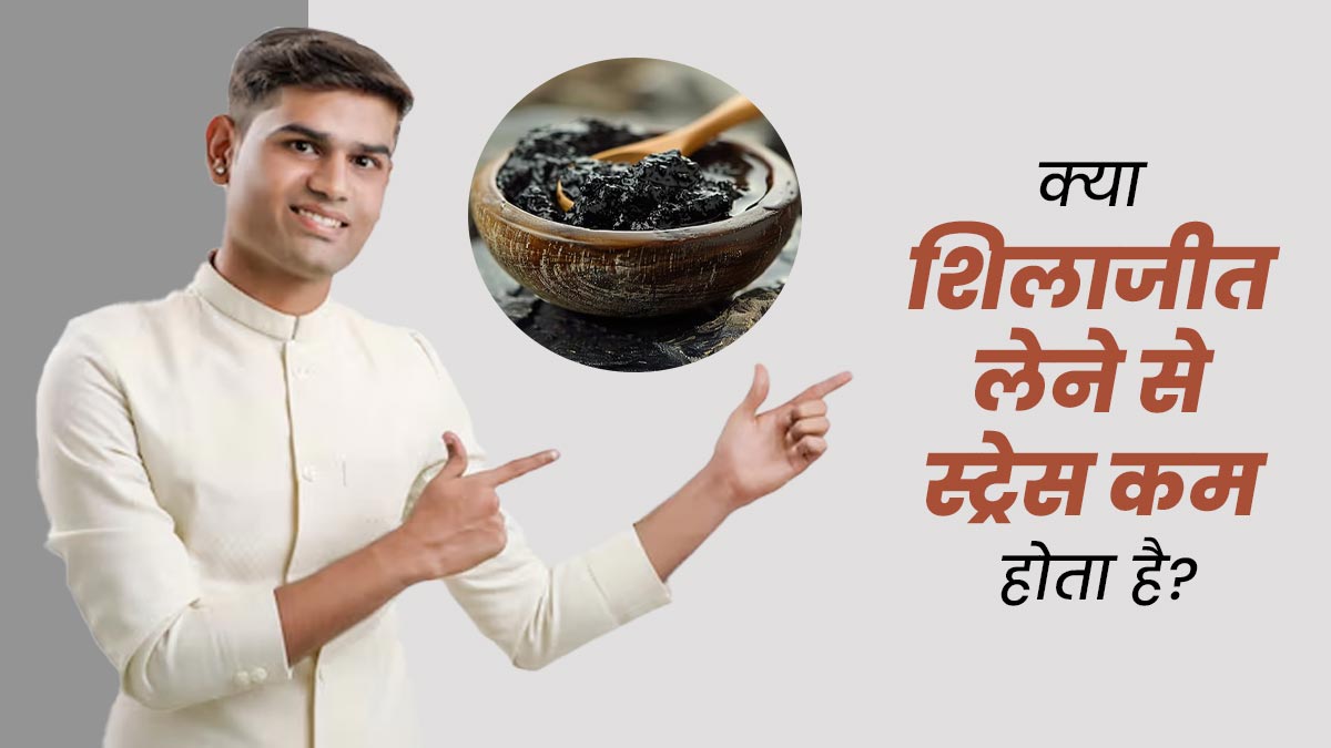 क्या शिलाजीत लेने से स्ट्रेस कम होता है? जानें डॉक्टर की राय