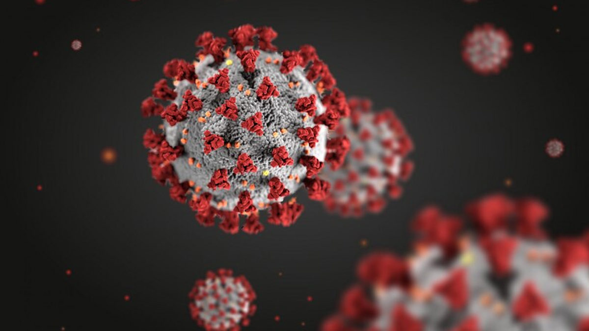 24 घंटों में कोरोना के 300 से ज्यादा मामले आए सामने, एक्टिव मरीजों की संख्या हुई 4300 के पार; जानिए आपके राज्य का हाल | Covid 19 Cases in India LIVE Updates 300 fresh cases total active cases past 4300 in hindi Corona-virusu-inside