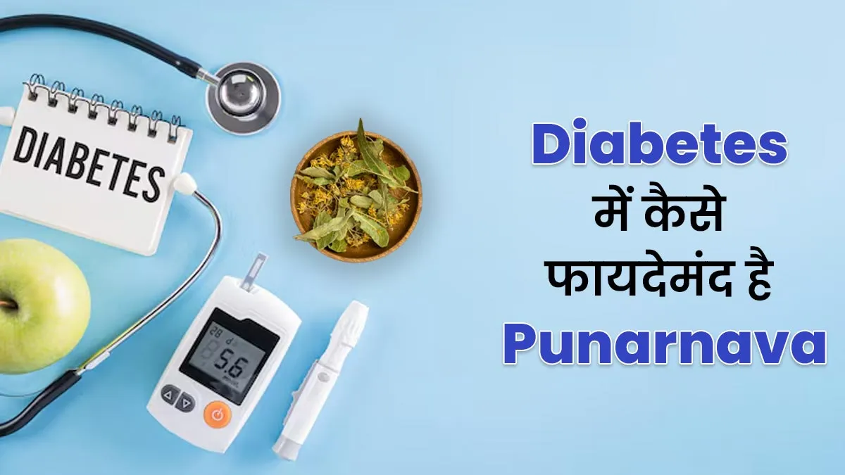 डायबिटीज में कैसे फायदेमंद है पुनर्नवा? जानें सेवन करने का तरीका