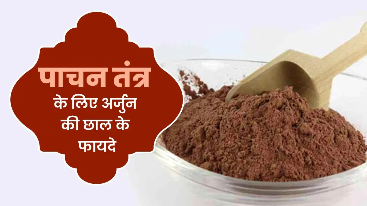 अर्जुन की छाल से सेवन से पाचन तंत्र को मिलते हैं ये 5 फायदे, जानें सेवन का तरीका