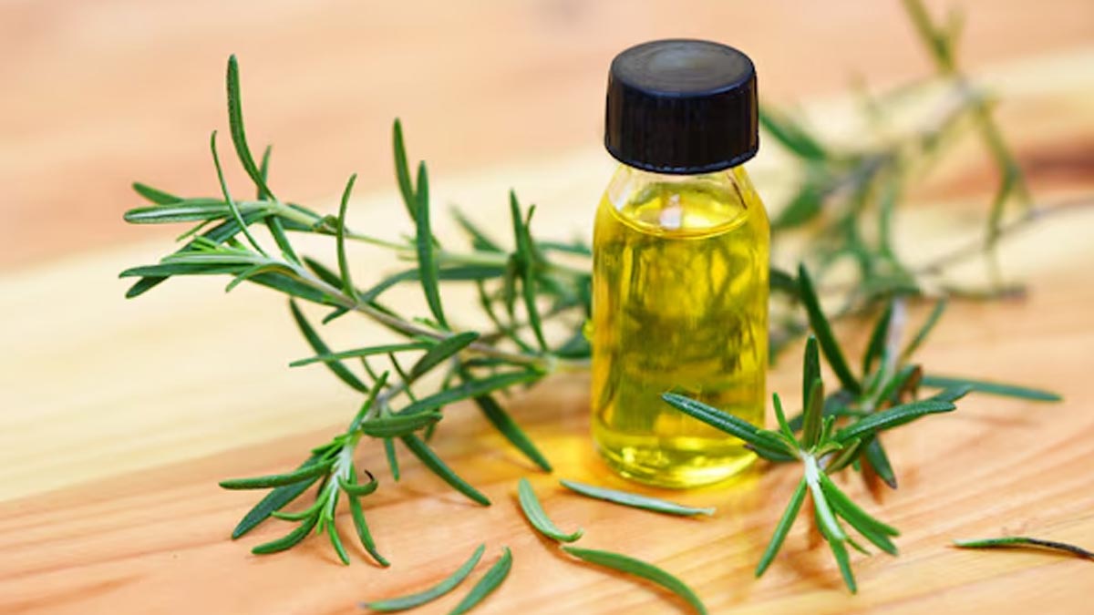 rosemary oil on wet hair