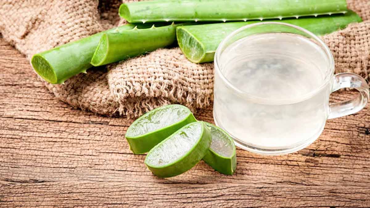 क्‍या बच्‍चों को एलोवेरा जूस प‍िलाना सही है? जानें एक्‍सपर्ट की राय