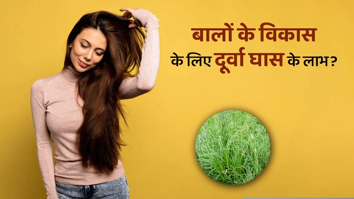 बालों के विकास के लिए दूर्वा घास के लाभ? एक्सपर्ट से जानें
