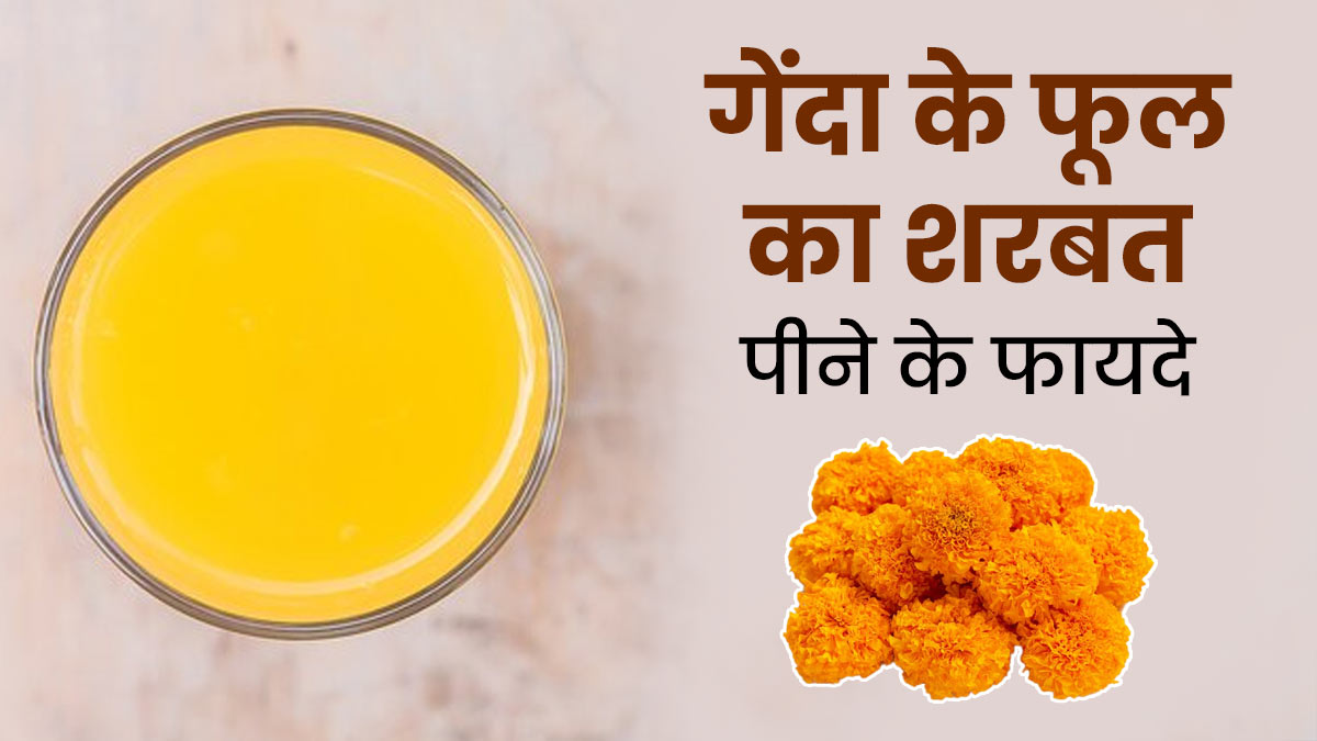 गर्मियों में गेंदा के फूल का शरबत पीने से सेहत को मिलते हैं कई लाभ, जानें एक्सपर्ट से