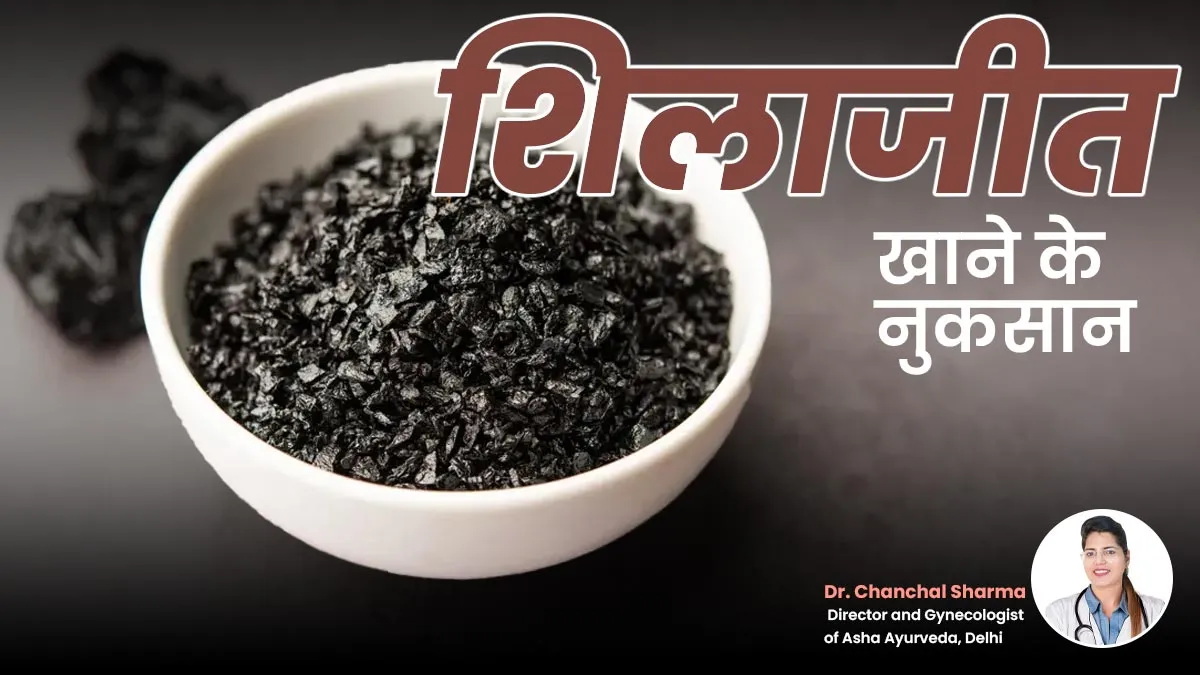 रोजाना शिलाजीत (Shilajit) का सेवन होता है हानिकारक, एक्सपर्ट बोले- बिल्कुल न खाएं