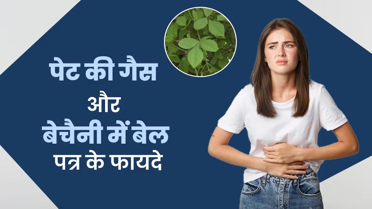 पेट की गैस और बेचैनी में कैसे फायदेमंद है बेल पत्र? आयुर्वेदाचार्य से जानें उपयोग और फायदे