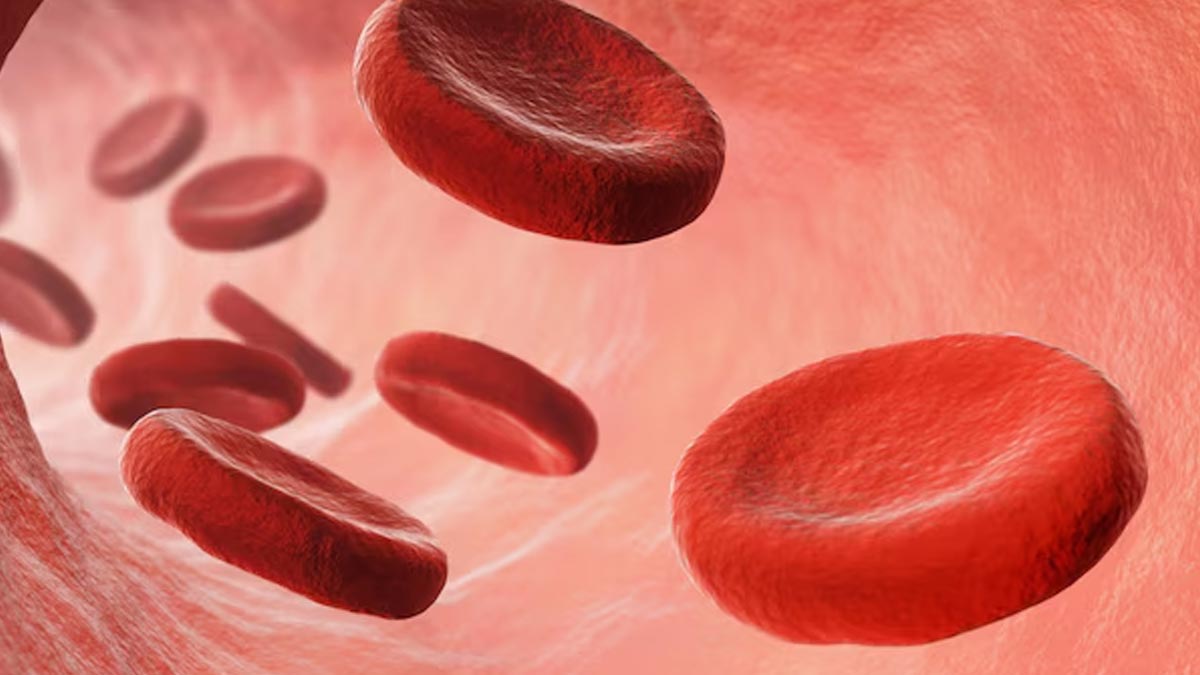 how to live with chronic leukemia 01 (6)