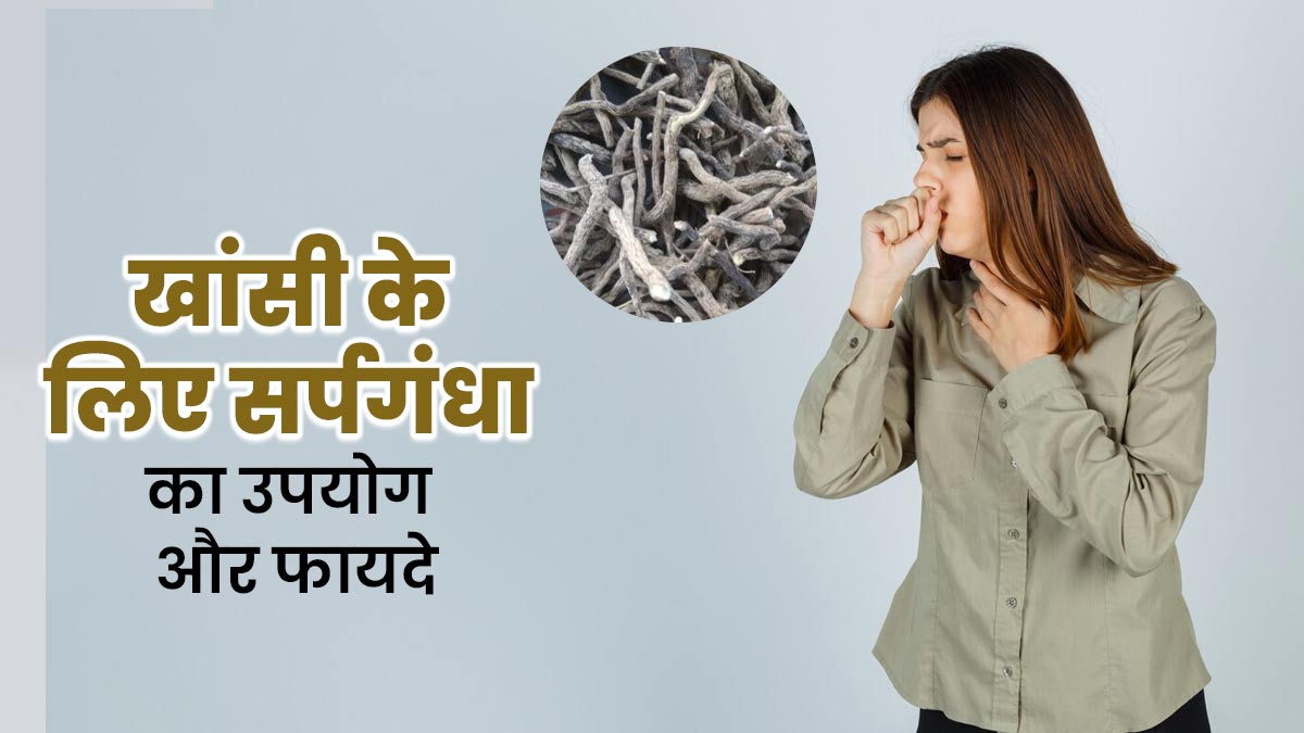 बार-बार खांसी की समस्या में फायदेमंद है सर्पगंधा, जानें फायदे और उपयोग