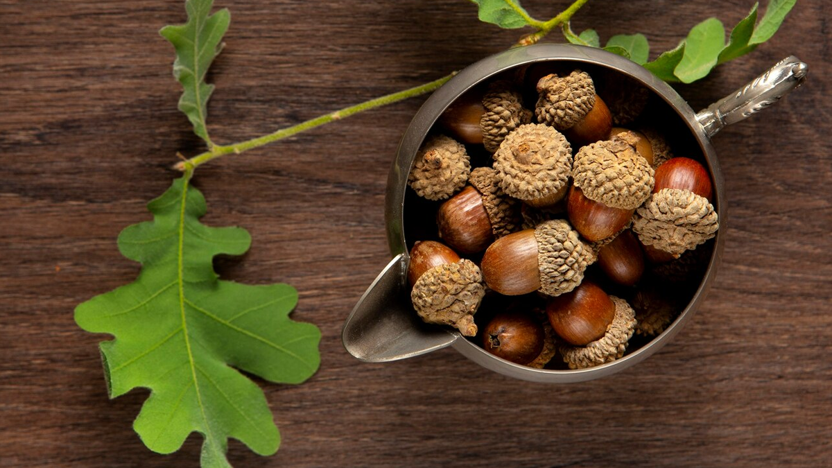 benefits-of-majuphal