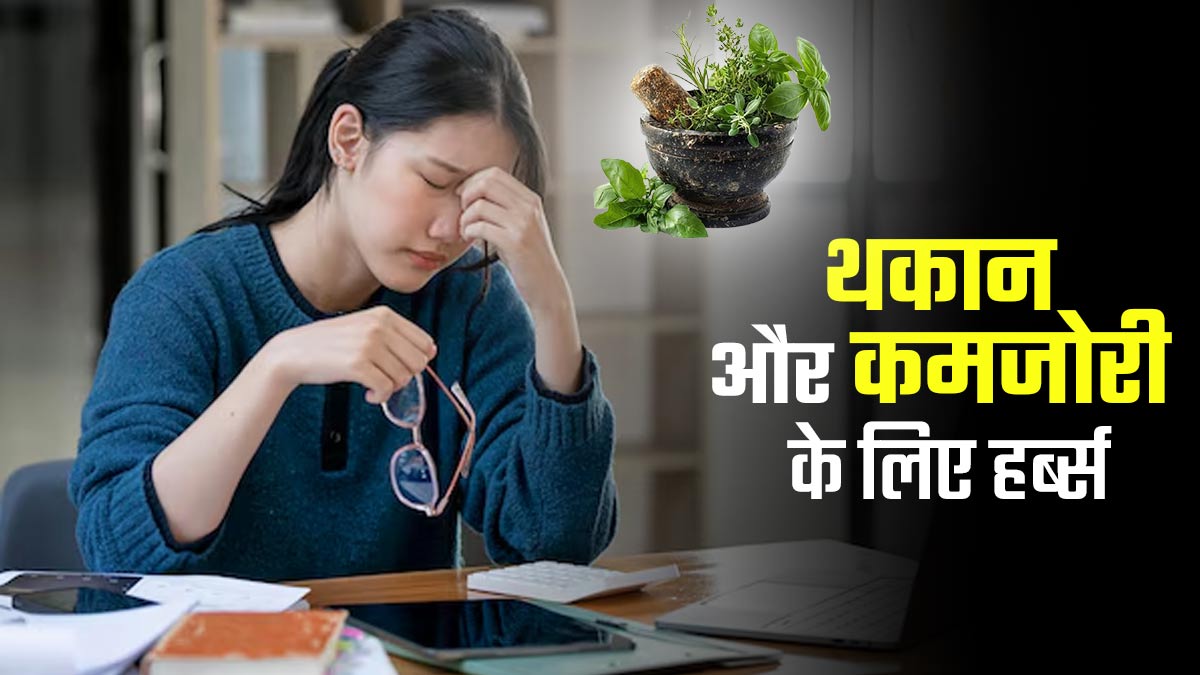 दिनभर महसूस करते हैं थकान और कमजोरी, तो इन आयुर्वेदिक जड़ी-बूटियों से दूर होगी समस्या