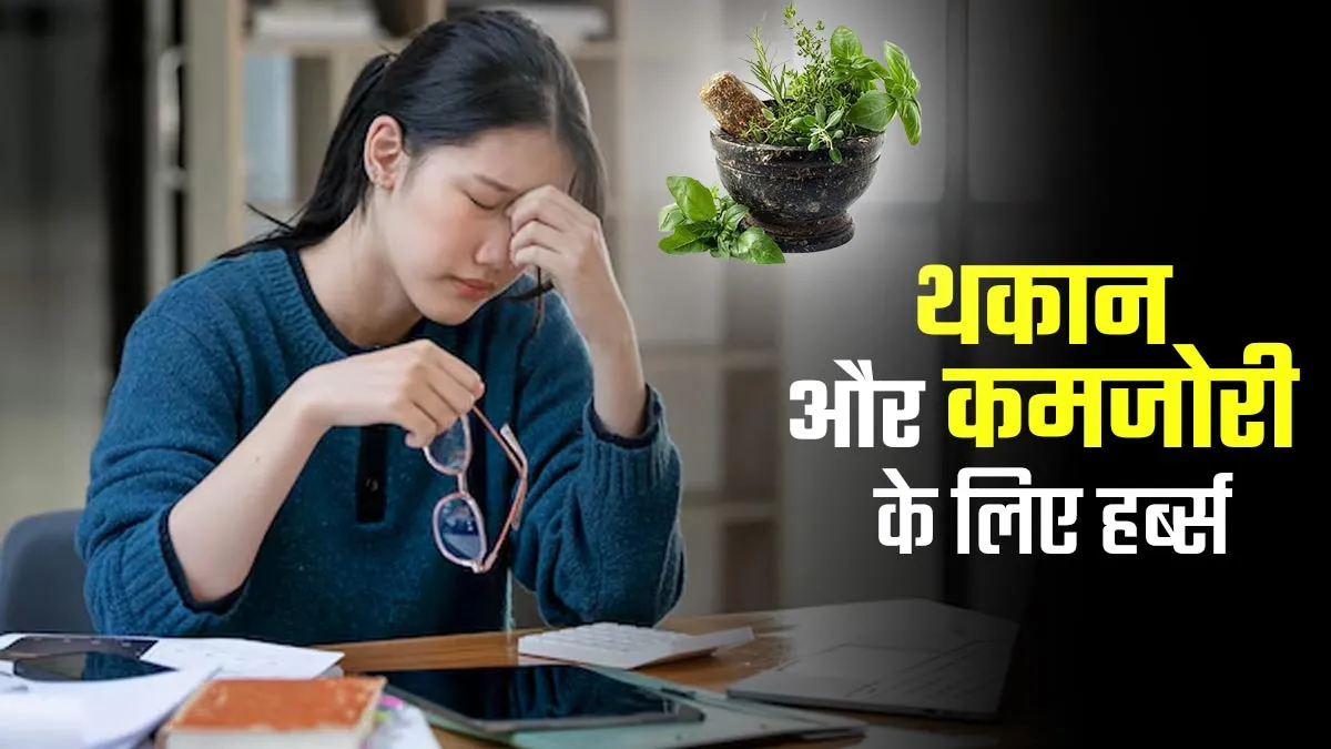 दिनभर महसूस करते हैं थकान और कमजोरी, तो इन आयुर्वेदिक जड़ी-बूटियों से दूर होगी समस्या