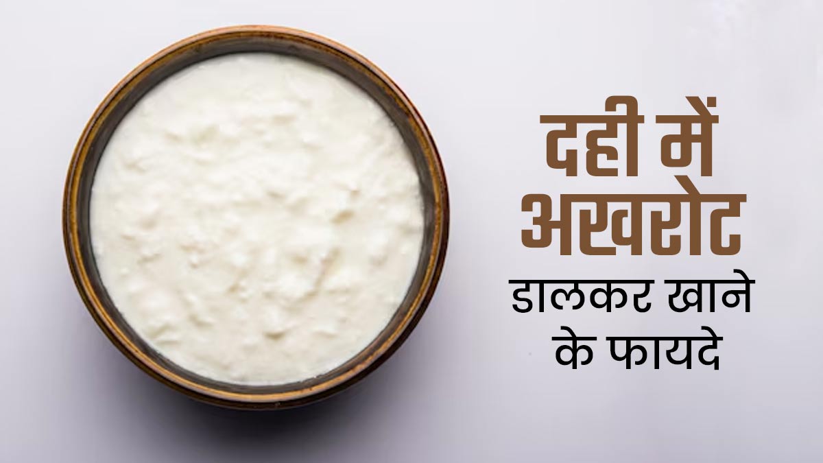 दही में अखरोट डालकर खाने से सेहत को मिलते हैं ये 6 फायदे, जानें इनके बारे में
