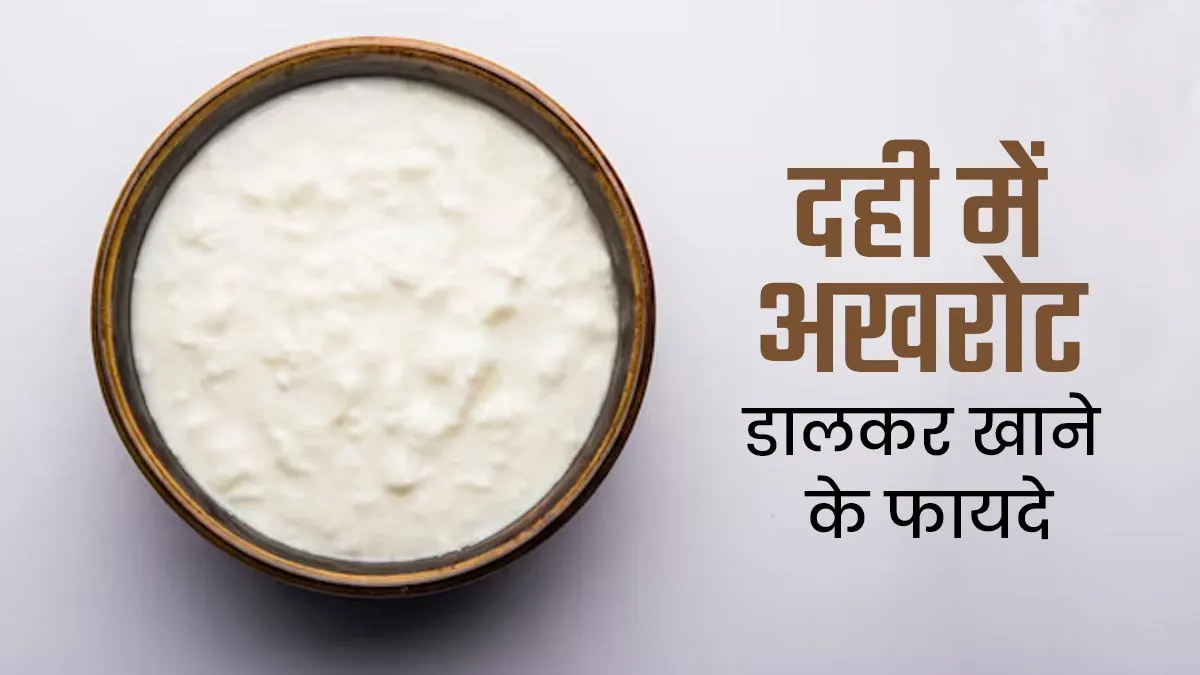 दही में अखरोट डालकर खाने से सेहत को मिलते हैं ये 6 फायदे, जानें इनके बारे में
