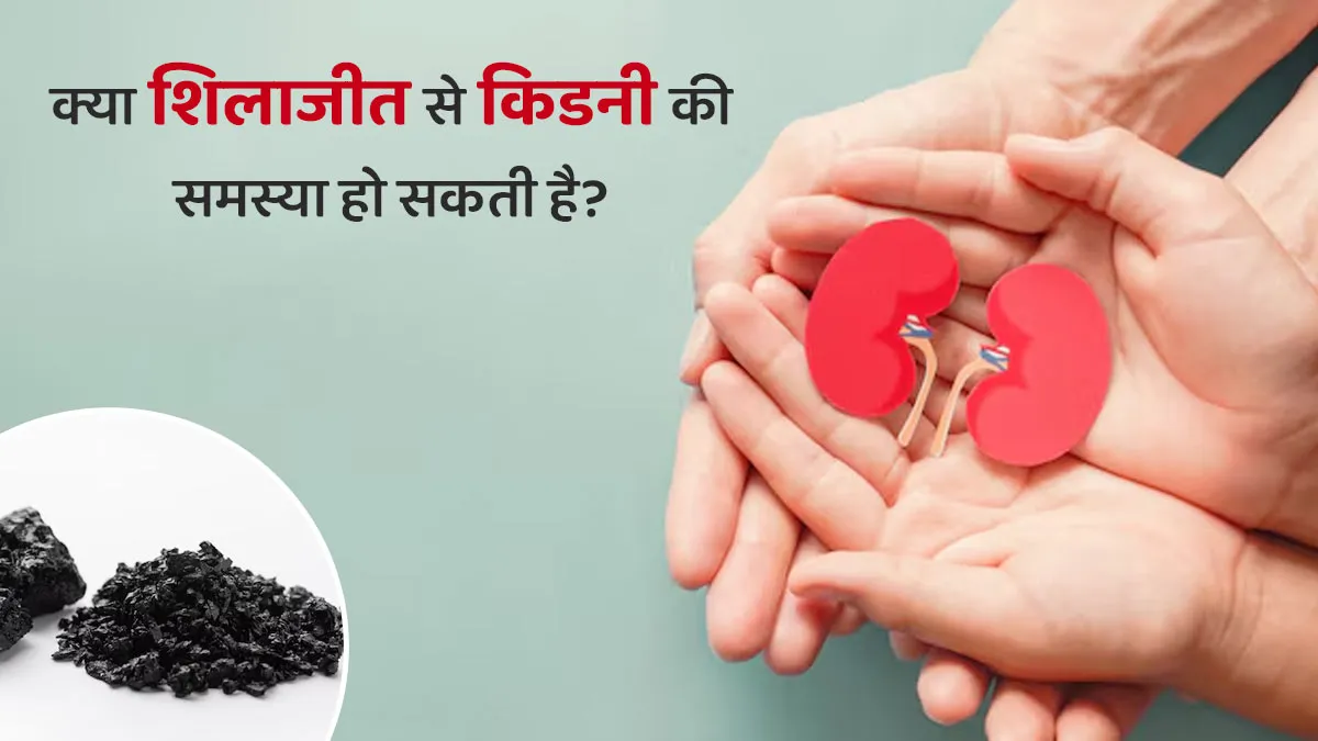 क्या शिलाजीत से किडनी की समस्या हो सकती है? एक्सपर्ट से जानें