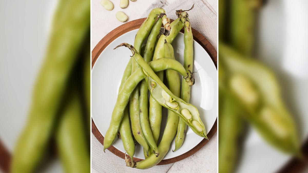 01 - 2025-06-10T065120.363