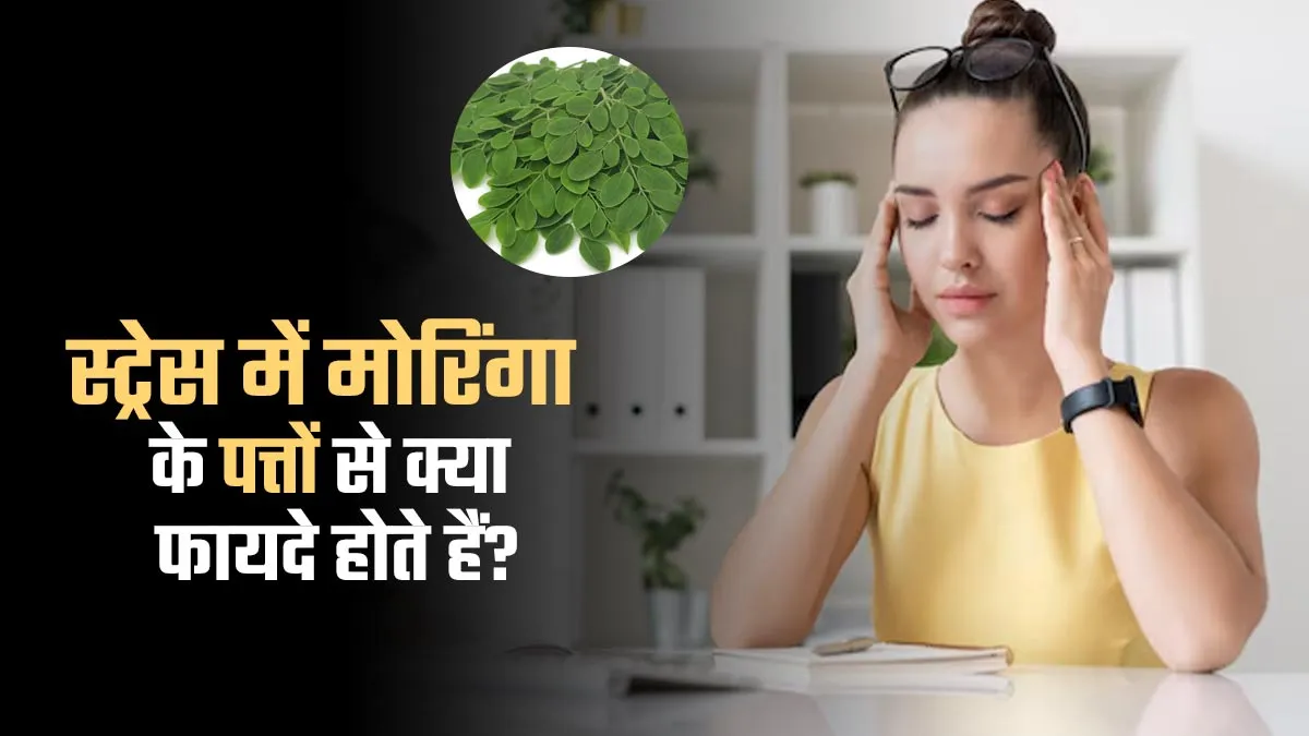 स्ट्रेस दूर करने में मददगार हैं मोरिंगा के पत्ते, आयुर्वेदाचार्या से जानें इसके फायदे