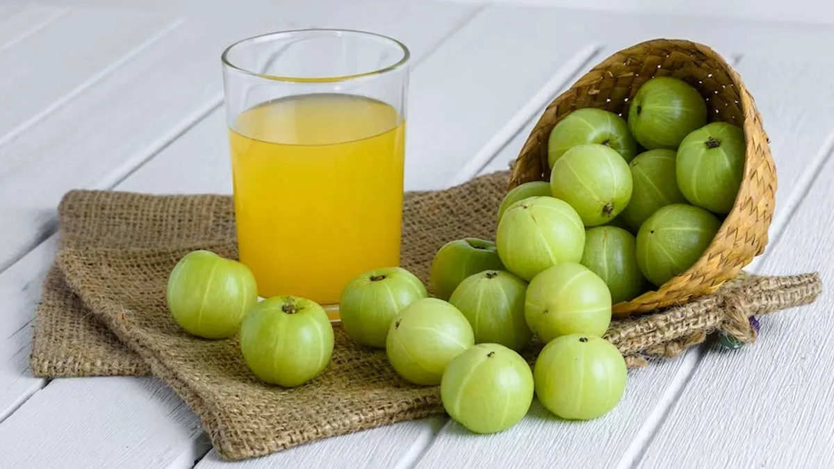 आंवला खाने से तेजी से बढ़ता है कोलेजन, जानें इसे खाने के अन्य फायदे भी